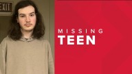 Hamburg Police looking for missing teen
