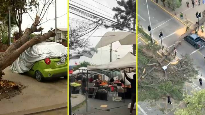 Árboles en el suelo y autos destruídos: Así fue la jornada de lluvia, granizo y fuerte viento este viernes en la RM