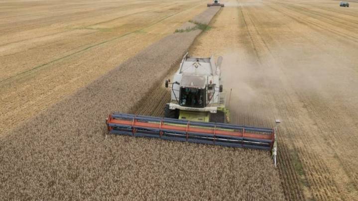 Retenciones cero en granos: un alivio temporal que impulsa al productor y al complejo sojero
