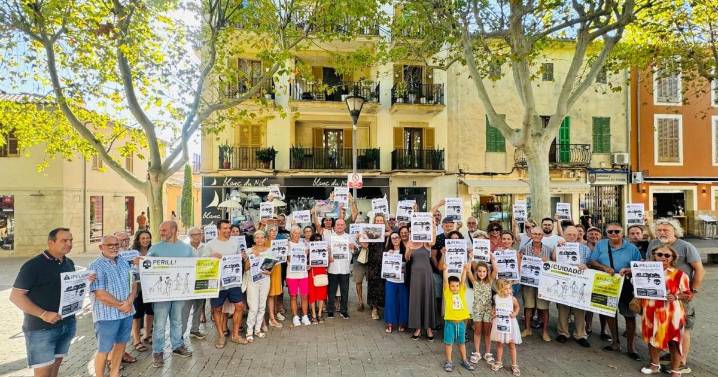 Vecinos de Alcúdia exigen renegociar el trazado del cable eléctrico