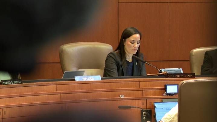 San Antonio leaders force vote on dog abandonment fines after mayor pulls it