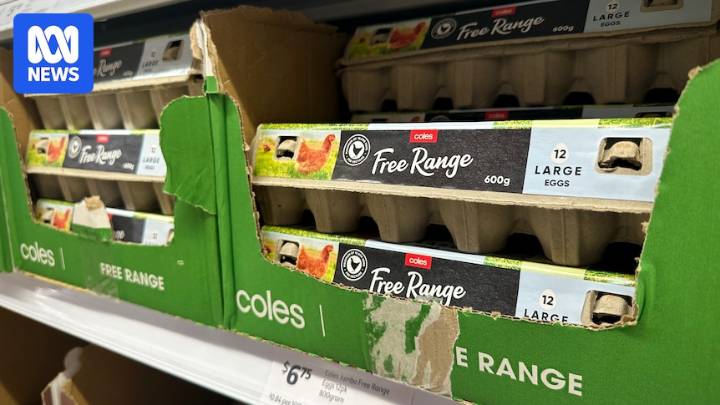 Caged eggs to stay on supermarket shelves until 2030 as Coles abandons pledge
