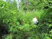 Royal Oak Nature Society benefits from Erb grant