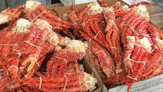 Colusión de la centolla: La trama que golpeó a los pescadores artesanales