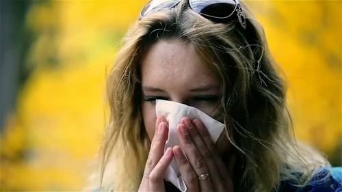 Fighting fall allergies as the weather shifts