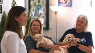 Governor signs proclamation for Service Dog Awareness Month at Hero Pups in Exeter