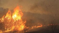Wildfires burn over 30 per cent of Etosha National Park in Namibia