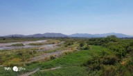 Río Maipo de Melipilla se convierte en el humedal urbano más grande de Chile