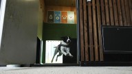 Hotel for pampered pets takes off at Italian airport