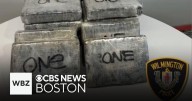More than 15 kilograms of cocaine seized at Fed-Ex facility in Wilmington