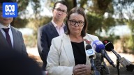 Madeleine King backs WA government over Patrick Gorman on controversial Burswood racetrack
