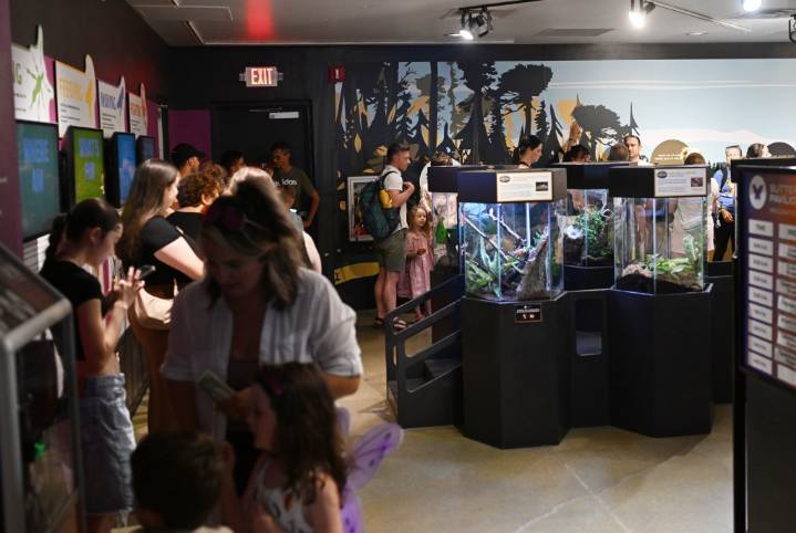 Butterfly Pavilion eyes renovations, expansions of Westminster campus