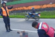 Hallan cuerpo de hombre arrollado en la Troncal 5