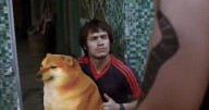 Amores Perros regresa a cines con una versión remasterizada en 4K