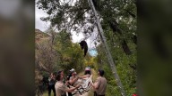 Bear cub rescued from tree in Clear Creek in Golden