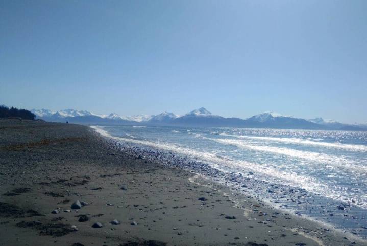 State issues alert for toxic shellfish found in Kachemak Bay
