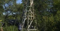 The world's tallest sunflower blooms in an Indiana backyard as a tribute to Ukraine