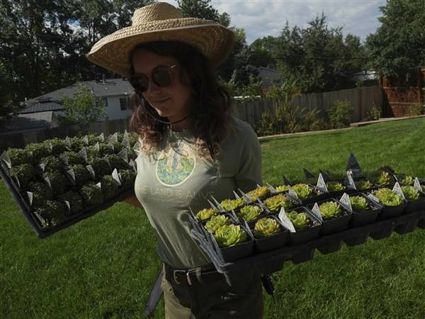 Move over, green lawns. Drier, warmer climate boosts interest in low