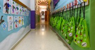 El PP pide al Congreso cambiar el modelo de escolarización de alumnos con apoyo especial