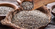 Estos son los riesgos de consumir semillas de chía en exceso