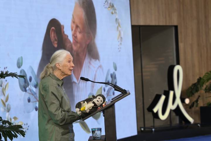 “Debemos juntarnos ahora para  resguardar lo que queda de la  naturaleza o será demasiado tarde”
