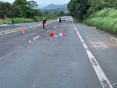 Fue atropellado por varios vehículos quedando esparcido por la carretera