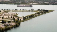Michigan DNR confirms alligator sighting on Belle Isle in Detroit