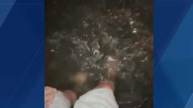 Rain continues to fall in Port Orange, residents take precautions