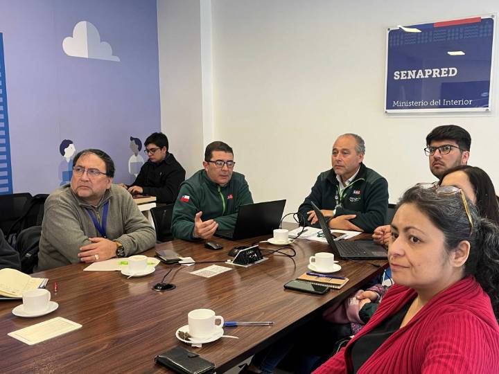 Influenza aviar: Integrantes de Mesa dimensión animal de Biobío participan en reunión de coordinación ante eventuales casos