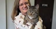 Cat missing for nine years reunited with owners