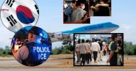 Regresan a Corea del Sur trabajadores detenidos en Georgia por ICE: “Profundamente traumático”, testimonios tras la detención en EE.UU.