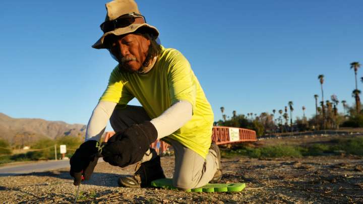 Restoration work to start soon at Palm Springs’ Prescott Preserve