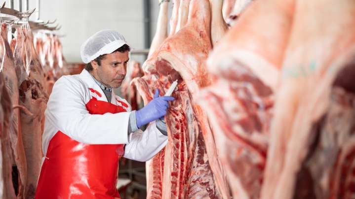 Price-fixing and power grabs — the Big Meat playbook