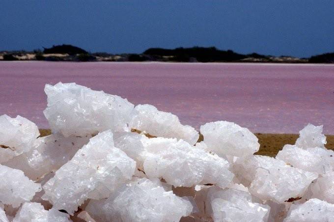 Sucre: Iniciará explotación de sal en Araya con alianza de inversionistas internacionales