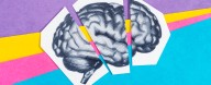 Switching Off One Crucial Protein Appears to Reverse Brain Aging in Mice