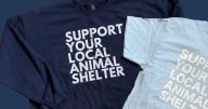 Fundraiser campaign aims to garner support for animal shelters