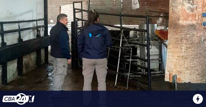 Descubren un matadero ilegal en el interior de Córdoba: secuestraron cien kilos de carne