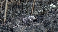 What to know about PBTT fire as state, federal response continues