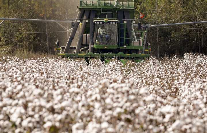 El cambio climático sin control podría reducir el PIB mundial per cápita hasta en un 24 %