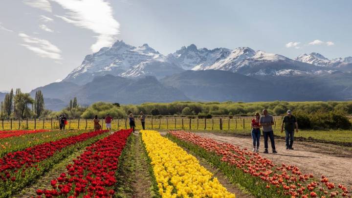 Más de un millón de flores: Trevelin, una ciudad inundada de colores