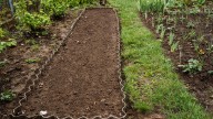 12 Cover Crops To Plant In The Fall For Healthy Garden Soil In The Spring