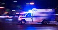 Pedestrian killed in early-morning after being struck by school bus in Palmer