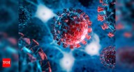 H3N2 flu Symptoms: H3N2 Flu on rise in Delhi NCR: How to distinguish from normal flu and symptoms to watch out for