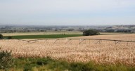 More than half of Northwest in severe, extreme drought, Oregon in historic dry period