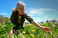 Foraging revival: How wild food enthusiasts are reconnecting with nature