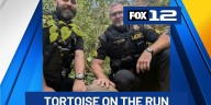 200-pound tortoise named Bowser wrangled by Washington Co. deputies after getting loose