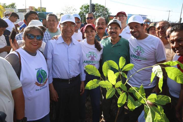 RENUEVA ANA PATY PERALTA ÁREAS VERDES CON ARBORIZACIÓN