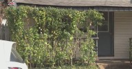 Sharpsburg property owner appears in court