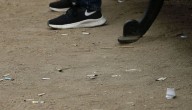 Botar colillas de cigarro, no recoger los desechos de mascotas, orinar: Ñuñoa endurece sanciones por incivilidades