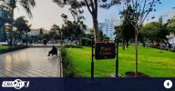 El SMN informó cómo será el clima en Córdoba en el próximo trimestre